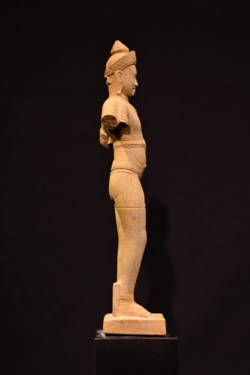 Standing Male Torso - Image 2