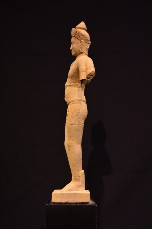 Standing Male Torso - Image 3